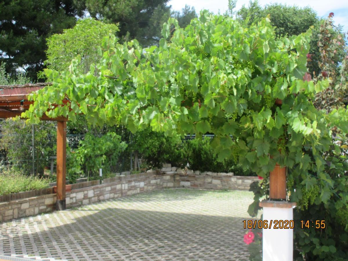 b&b Capo Le Vigne Sirolo Esterno foto