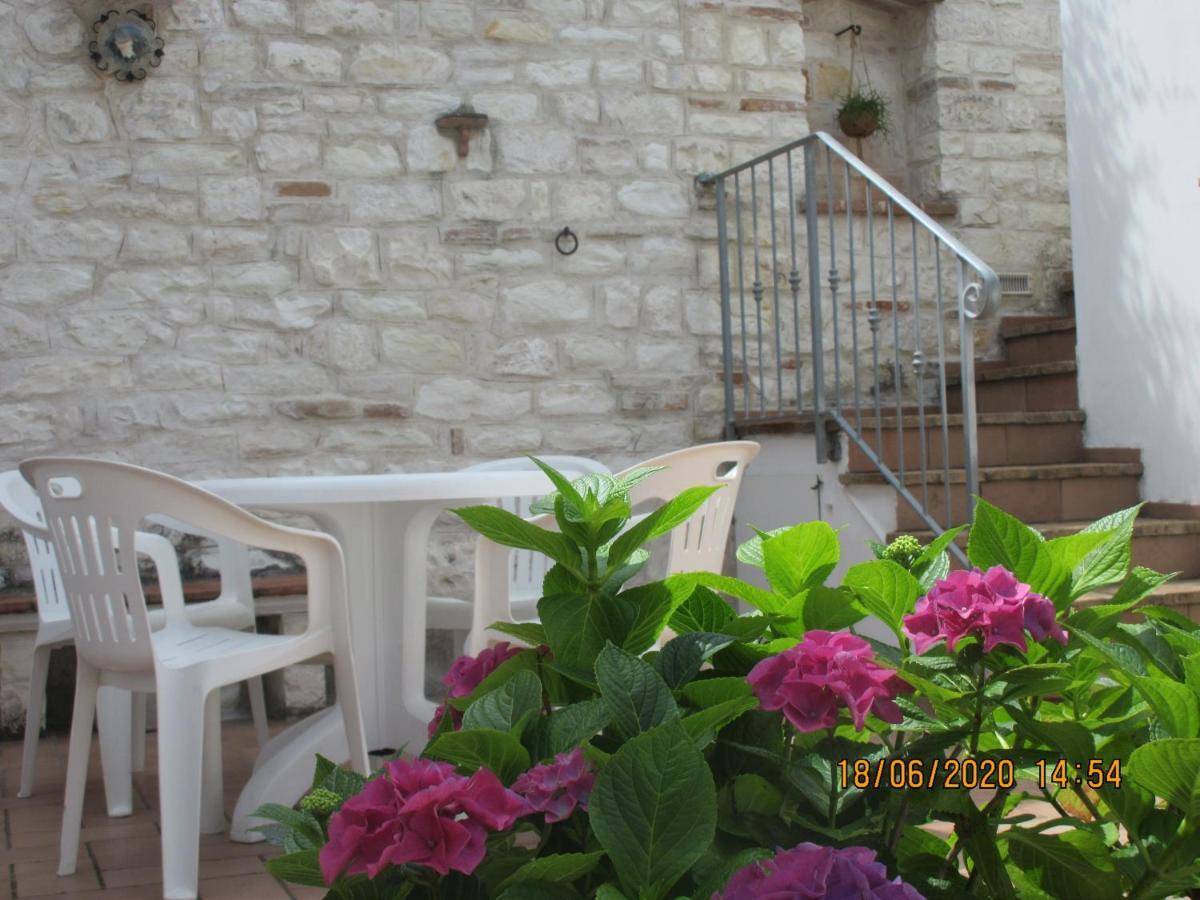 b&b Capo Le Vigne Sirolo Esterno foto